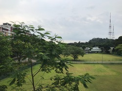 The Hillford (D21), Apartment #178893942